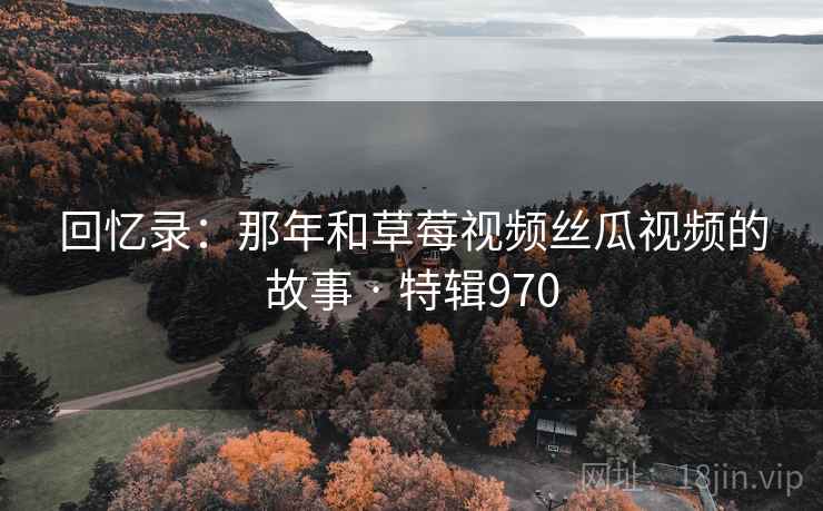 回忆录：那年和草莓视频丝瓜视频的故事 · 特辑970