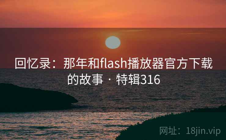 回忆录:那年和flash播放器官方下载的故事 · 特辑316 第2张 回忆录:那年和flash播放器官方下载的故事 · 特辑316 第2张